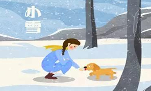 安氏亞森板材：小雪丨花開天下暖，葉落天下寒
